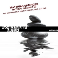 Matthias Springer, Aksutique - Ezekeel
