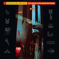Depeche Mode - Black Day