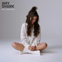 Amy Shark - All The Lies About Me